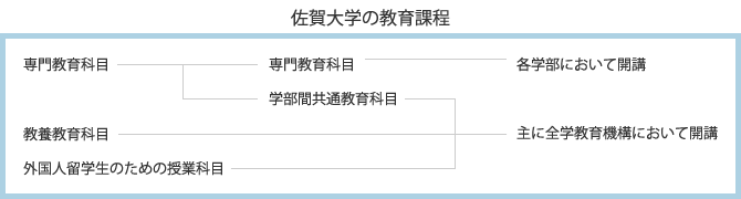 佐賀大学の教育課程